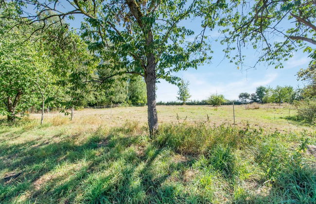 Welcoming Holiday Home in Ohey With Garden - Photo 39