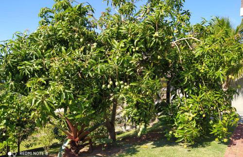 Chácara Atibaia - Foto 68