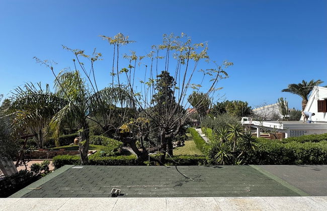 Golfo degli Ulivi Relax - Photo 33