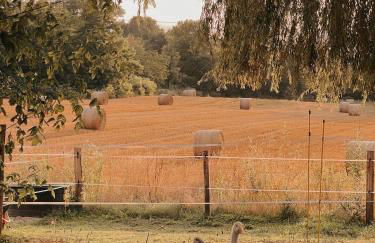 Charmante maison en pierres, séjour à la ferme - Foto 19