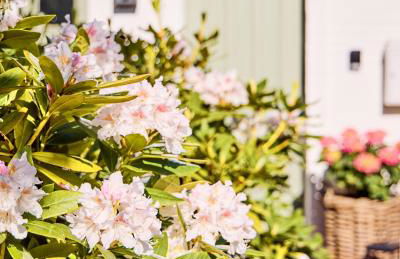 Watthüs Morsum mit Kamin und traumhaftem Garten - Foto 58