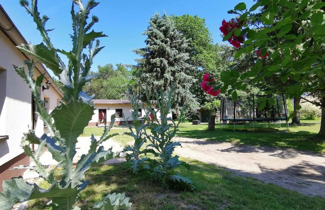 Naturhof Usedom - Photo 48