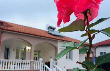 Suzie's House - Road to Loutra Pozar - Foto 42