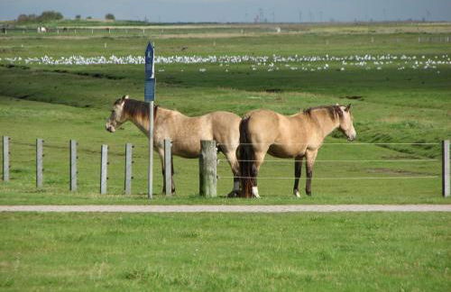 Seevilla Wietjes Whg 5 - Foto 31