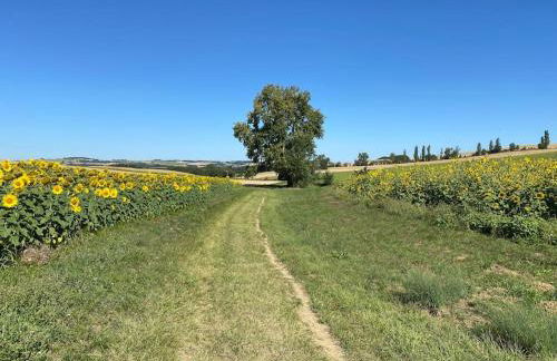 Logement entier de charme, gite équestre GERS Flamarens - Photo 41