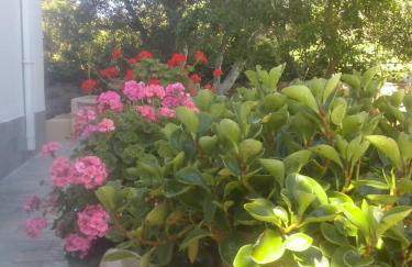 Level Houses - Foto 15