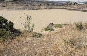 Villa Teresa Palinuro - Photo 11