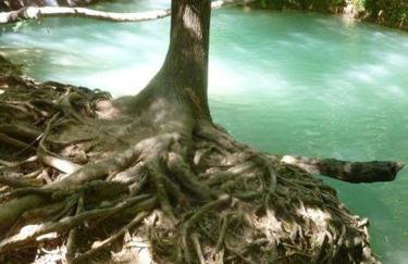 Casa Ludese - Foto 29