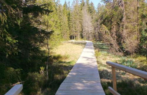 Apartment Fewo Am Skihang OG by Interhome - Foto 22