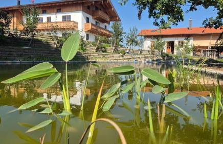 Fembacher Alm - Photo 64