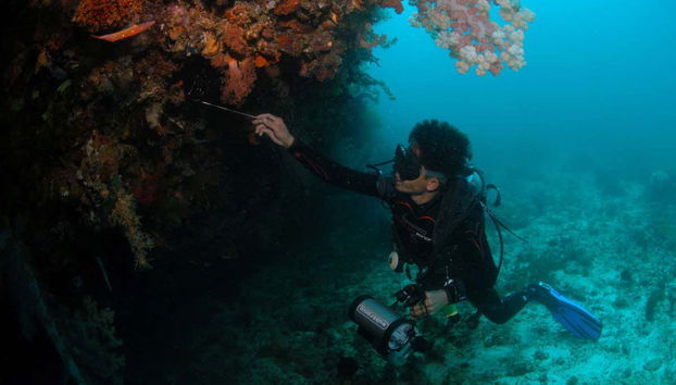 Diving in Malapascua