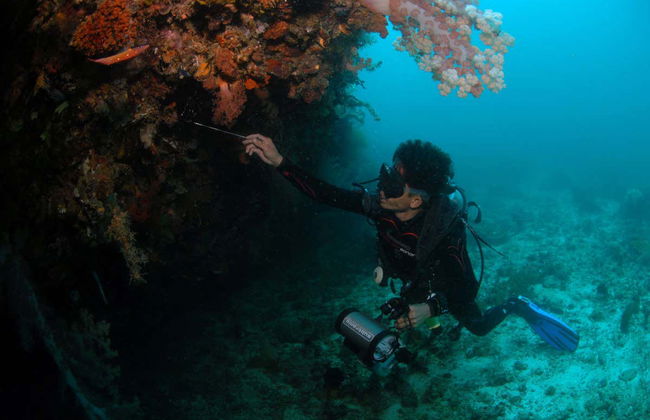Malapascua Diving - Photo 2