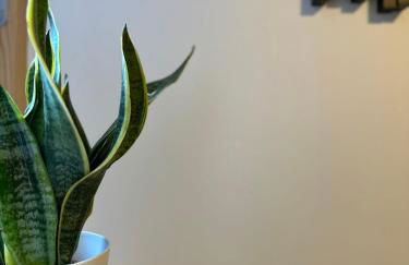 Spacious 4BR 4BA gated townhouse with balconies, Central JQ - Foto 36