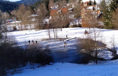 Ferienwohnung, Sauna & Gästekarte gratis im Schwarzwald - Photo 35