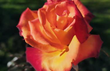 Villa Celestina, a 10 minuti dalle Terme - Foto 49