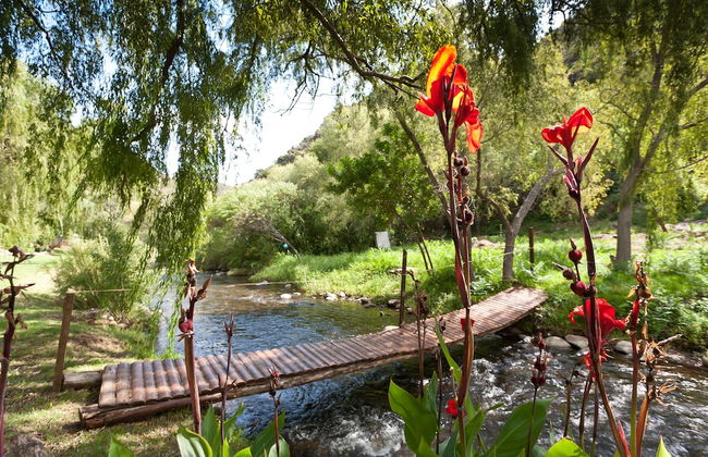 Cango Retreat - Foto 51