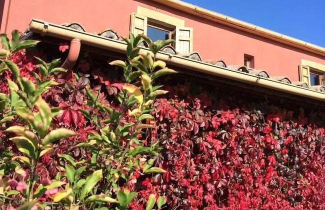 Agriturismo Castro - Foto 40