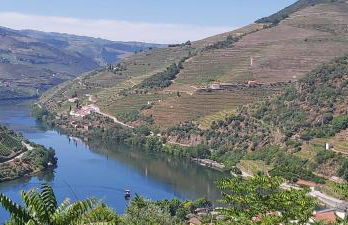 Casa do Jornaleiro - Douro - Foto 33