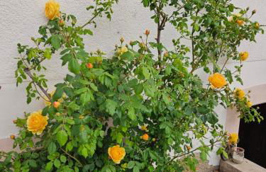 Lueginsland - Foto 33