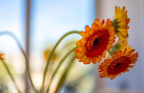 Beautiful view apartment with garage space - Photo 57