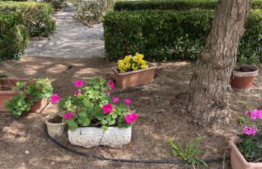 Midori-an 緑庵 - The Garden - Foto 65