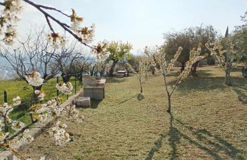 Dimora Montelago - Apartment Roby - Foto 32