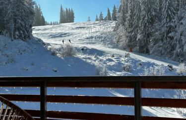 Feldberg Apartment - direkt an der Skipiste - mit Sauna - Foto 14