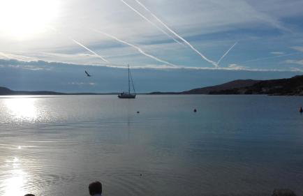 LARA & VITO - Foto 1