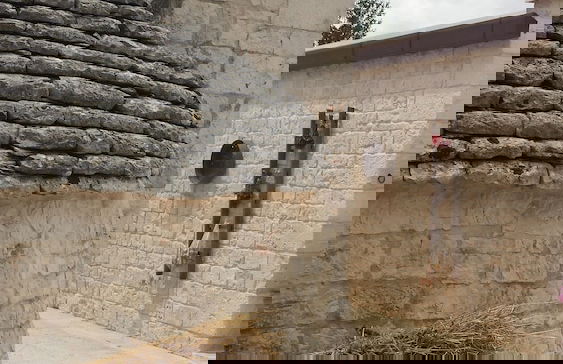 Masseria Gianca - Foto 34