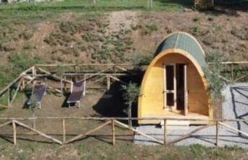 Agriturismo Fattoria didattica Il Macereto - Foto 14