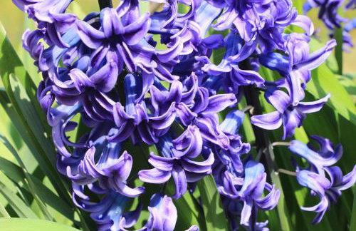 Casa vacanze Ester - Foto 62