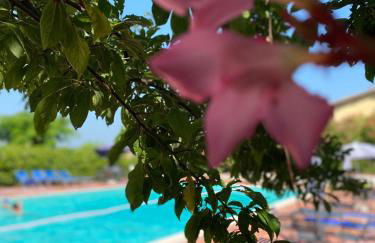 Cardinal Girolamo - Foto 25