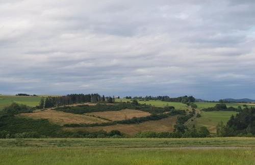 Ferienwohnung Parkblick Medebach - wunderschöne 52qm Dachterasse - in der Nähe von Center Parcs - Foto 35