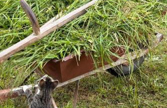 Apartment am Schwielochsee by Interhome - Photo 14