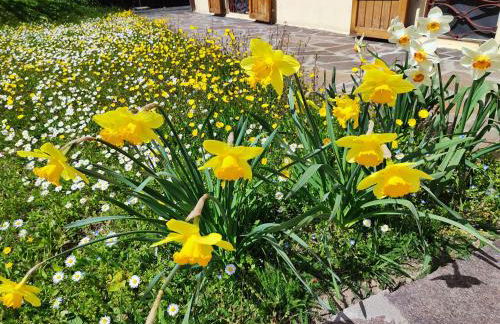 Casa Marina - Photo 10