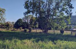 Killeavy Cottage - Foto 44