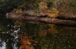 Gorgeous Cozy 5 Bedroom House with Hottub,Lake,Pool - Foto 48