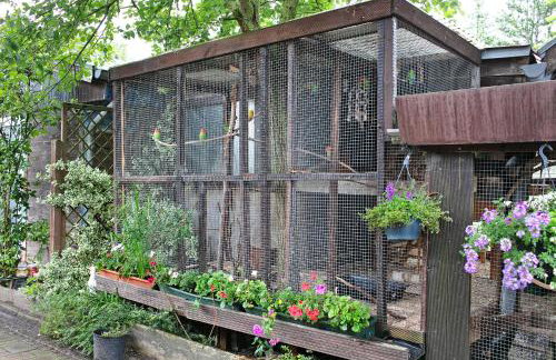 Familienoase Damsdorf - Foto 8