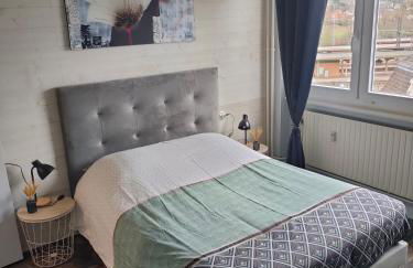 L'Europ'appart - Cosy - Gare - Center parcs -St Croix - Foto 4