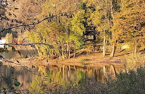 Appartamento del BUFO - appartamento al lago - Foto 33