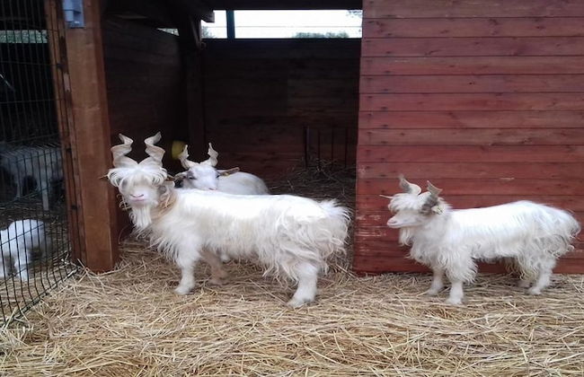 Agriturismo Specchiarussa - Foto 34