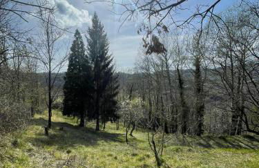 il casale di Bruno e Pina - Foto 37