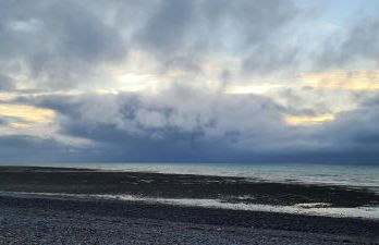 La Crevette - Foto 13