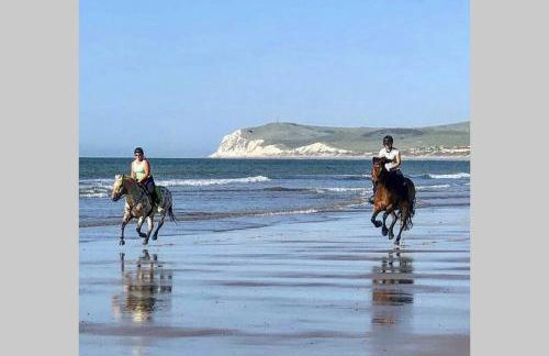 DUPLEX AVEC JACUZZI vue imprenable sur la baie de Wissant - Foto 31