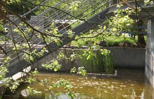 Ferienwohnung "Mosel" - Foto 41