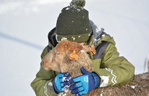 Hygge Młyńsko - Foto 28