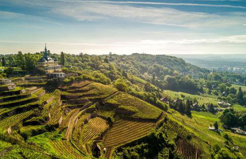 Bambus, Jungle, Dachterrasse & bequem bis Zentrum - Foto 30
