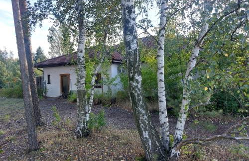 Apartment GNUBBEL am Wald - Foto 1