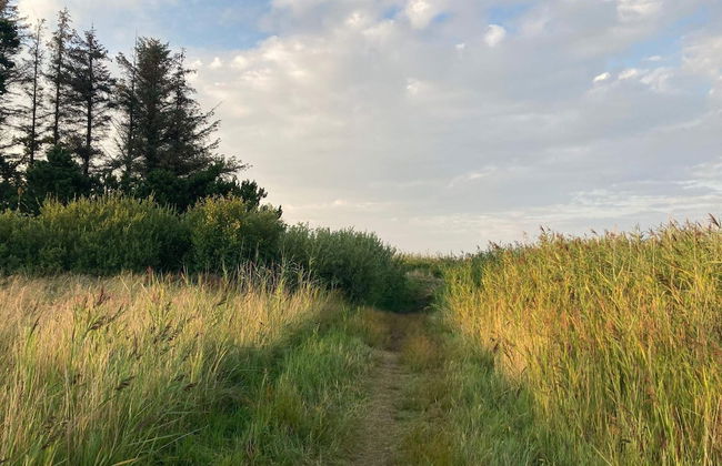 4 Star Holiday Home in Hals - Foto 5