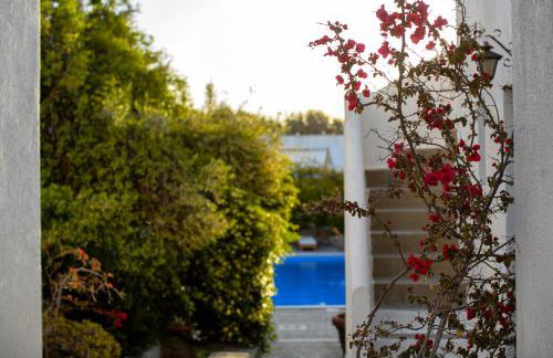 Andromeda Residence - Foto 18
